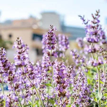 Dom wakacyjny Holytom Port de Pollença